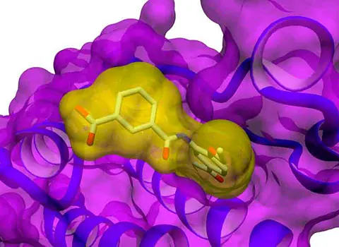 Taros computational chemistry expertise encompasses the whole spectrum of computer-aided drug design, from virtual screening to adaptive SAR analysis as well as molecular modelling to statistical forecasting.