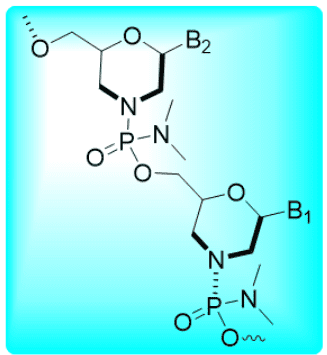 Synthesis support on various phosphorodiamidate morpholinos (PMOs)