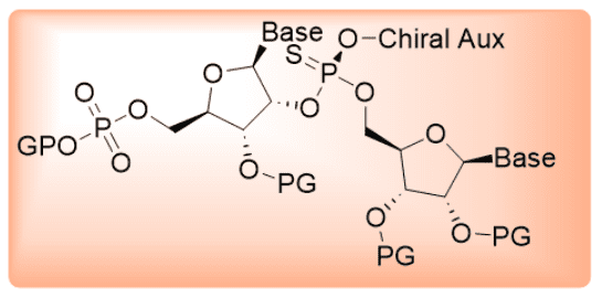 synthesis of customized nucleosides, nucleotides, dinucleotides, phosphoroamidates, thiophosphates, triphosphates, & monophosphates