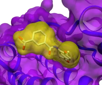 computational-chemistry-molecular-design Taros computational chemistry expertise encompasses the whole spectrum of computer-aided drug design, from virtual screening to adaptive SAR analysis as well as molecular modelling to statistical forecasting.