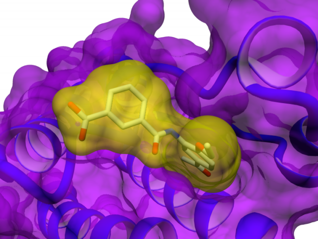 computational-chemistry-molecular-design Taros computational chemistry expertise encompasses the whole spectrum of computer-aided drug design, from virtual screening to adaptive SAR analysis as well as molecular modelling to statistical forecasting.