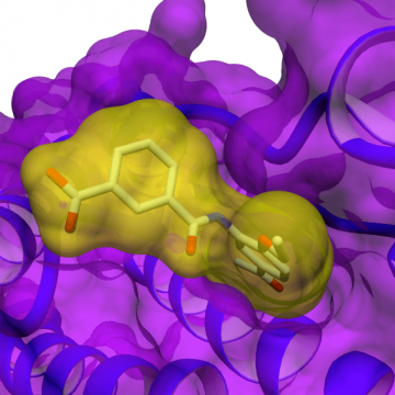 Taros computational chemistry expertise encompasses the whole spectrum of computer-aided drug design, from virtual screening to adaptive SAR analysis as well as molecular modelling to statistical forecasting.