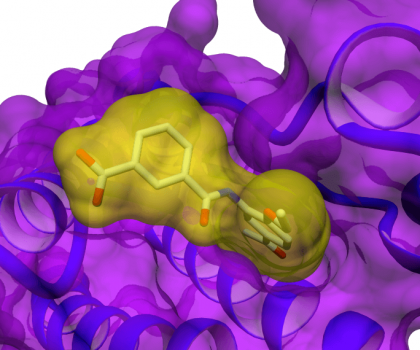 computational-chemistry-molecular-design Taros computational chemistry expertise encompasses the whole spectrum of computer-aided drug design, from virtual screening to adaptive SAR analysis as well as molecular modelling to statistical forecasting.