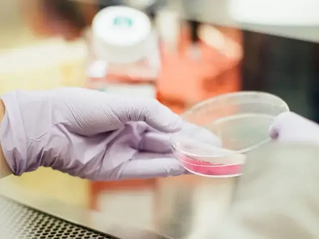 Bioscience Bioscience includes serveral approaches of assay development and in vivo pharmacology within the drug discovery process