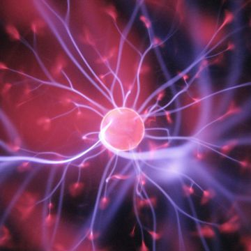 neuroscience within drug discovery