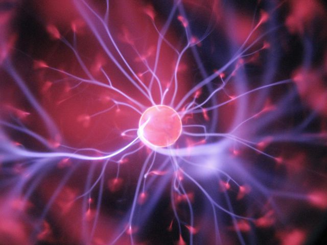 Neuroscience neuroscience within drug discovery